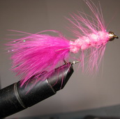 ���� Woolly Bugger  pink � 6 